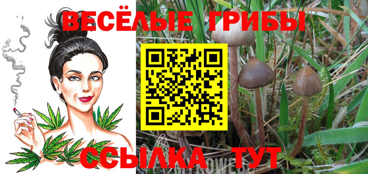 Псилоцибиновые грибы ЛСД Ишим